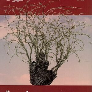 import placeholder for 33343