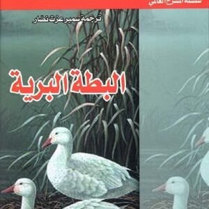 import placeholder for 19342