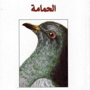 import placeholder for 20335